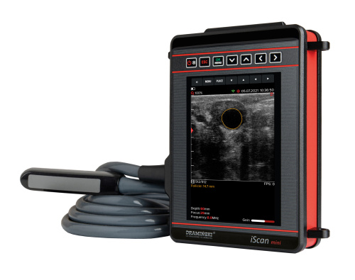 I scan mini poland - Handheld Veterinary Ultrasound Machines