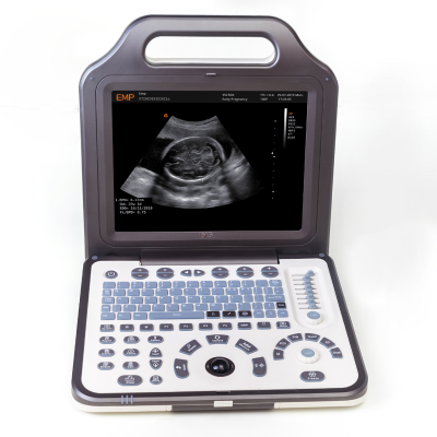 N5 - Portable Veterinary Ultrasound Machines
