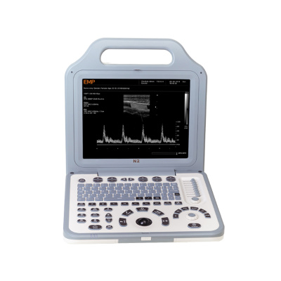 N2 - Portable Veterinary Ultrasound Machines