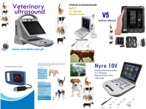 "Veterinary Ultrasounds"